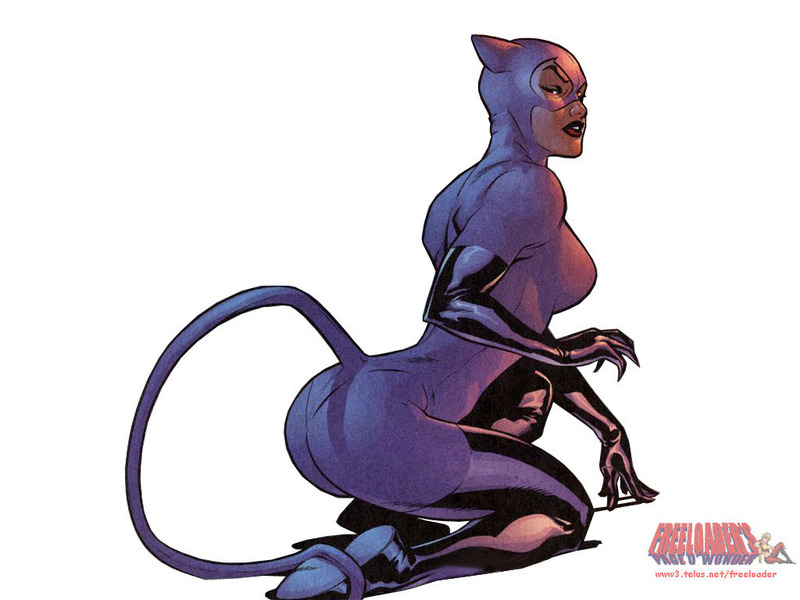 Catwoman-dc-comics-3975187-800-600