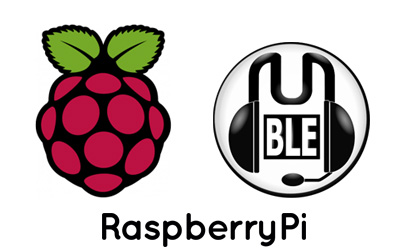 Raspberry-Pi-Mumble-Miniature